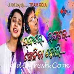 Rangare Rangare Kheliba Holi